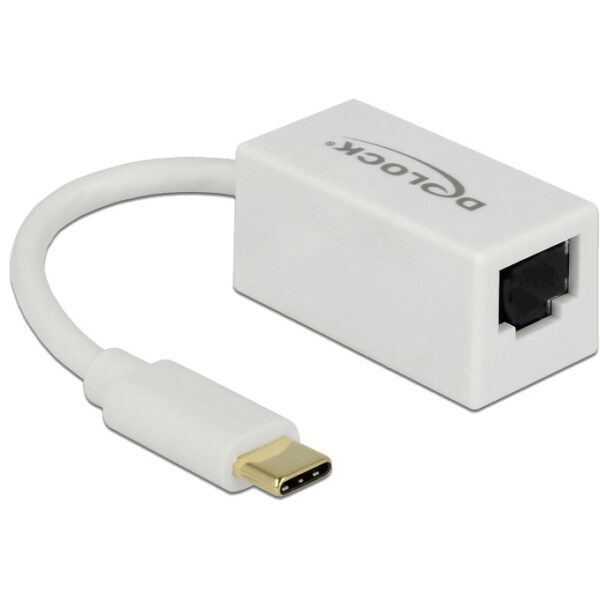 DeLOCK SuperSpeed USB-C (USB 3.1 Gen 1) male > Gigabit LAN 10/100/1000 Mbps compact adapter