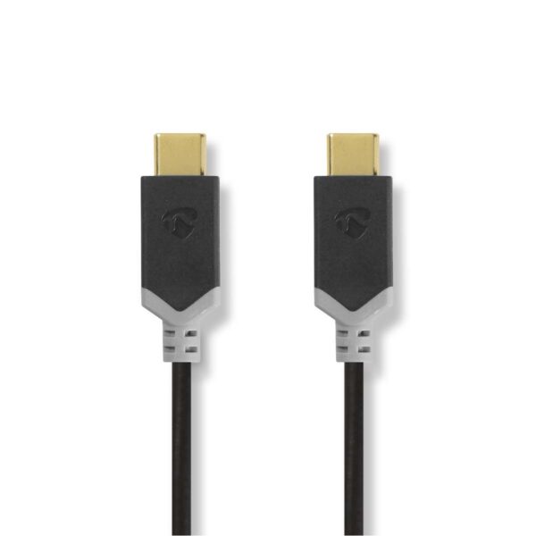 USB 3.1-kabel (Gen2) | Type-C male - Type-C male | 1,0 m | Antraciet
