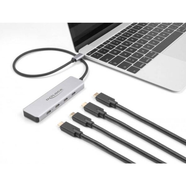 Delock 64231 USB-C (USB 3.2 Gen 2) multiport hub Grijs