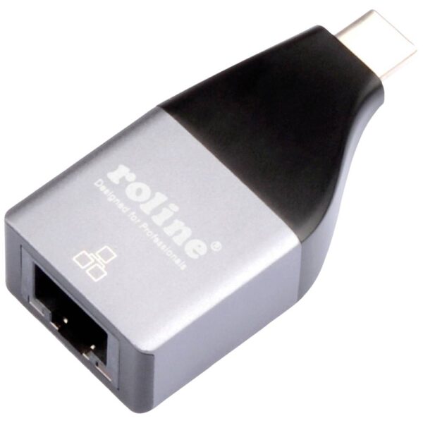 ROLINE USB 3.2 Gen 2 naar Gigabit Ethernet Converter