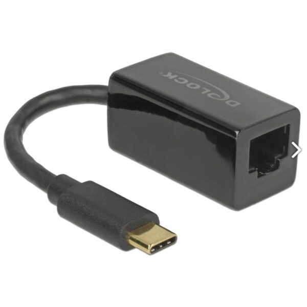 Delock USB 2.0 Adapter [1x USB-C stekker - 1x RJ45-bus] 65904 12.7 cm