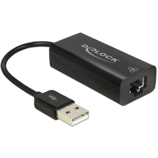 Delock 62595 Netwerkadapter 100 MBit/s USB-A, RJ45